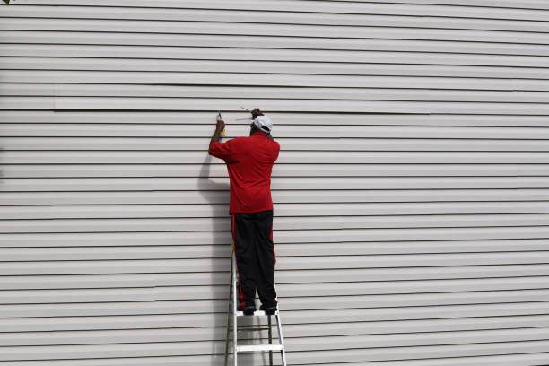 Best Vinyl Siding Installation  in Lemmon Valley, NV